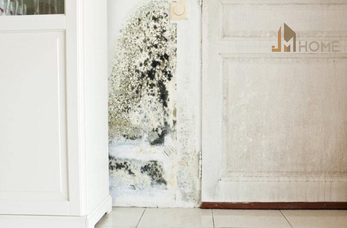 Thiết kế kiến trúc không hợp lý gây ẩm mốc cho gia đình bạn