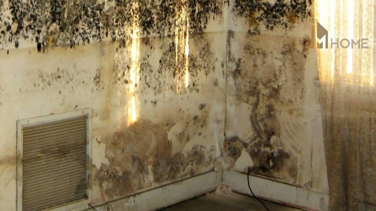 Vệ sinh bề mặt bị ẩm mốc kịp thời để xử lý nhà ẩm mốc hiệu quả