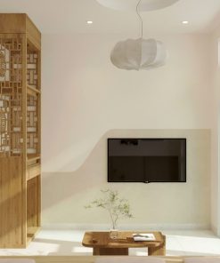 thiet ke nha pho quan 1 0 1 tret 1 lau chi hue 4