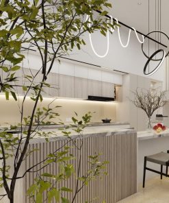 thiet ke nha pho quan 9 1 tret 2 lau chi nhu ngoc 6