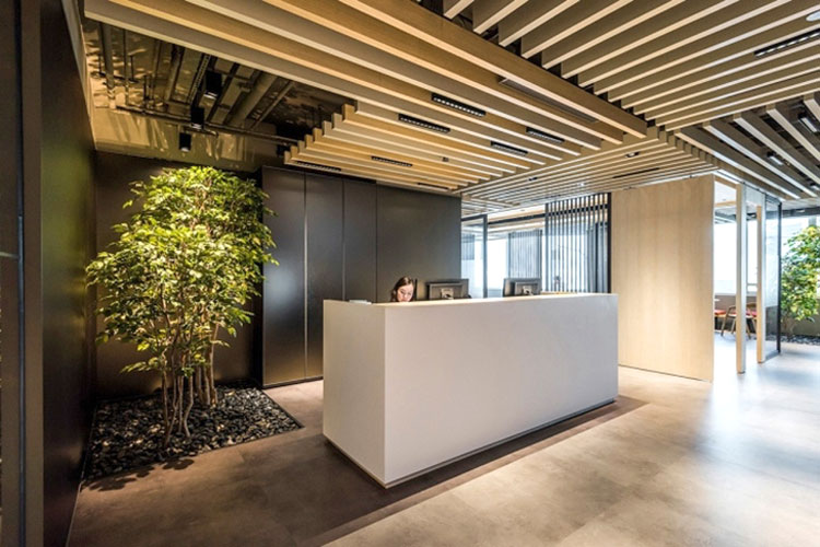 Sảnh văn phòng ngập tràn cây xanh và ánh sáng tự nhiên
