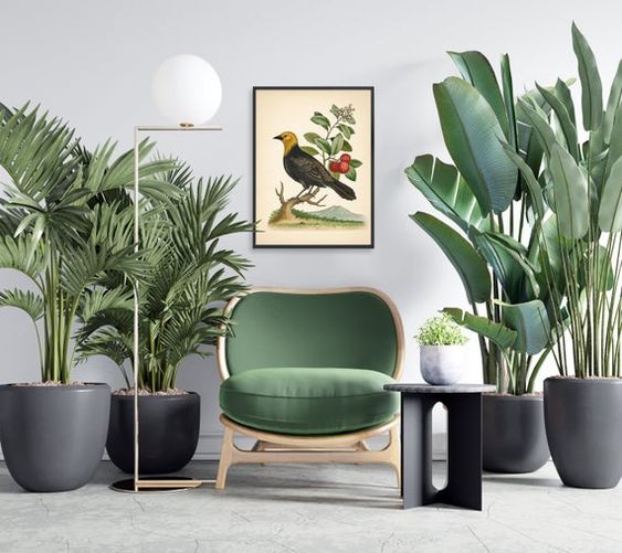 Tham khảo ngay những mẫu phòng livestream đẹp nhất hiện nay