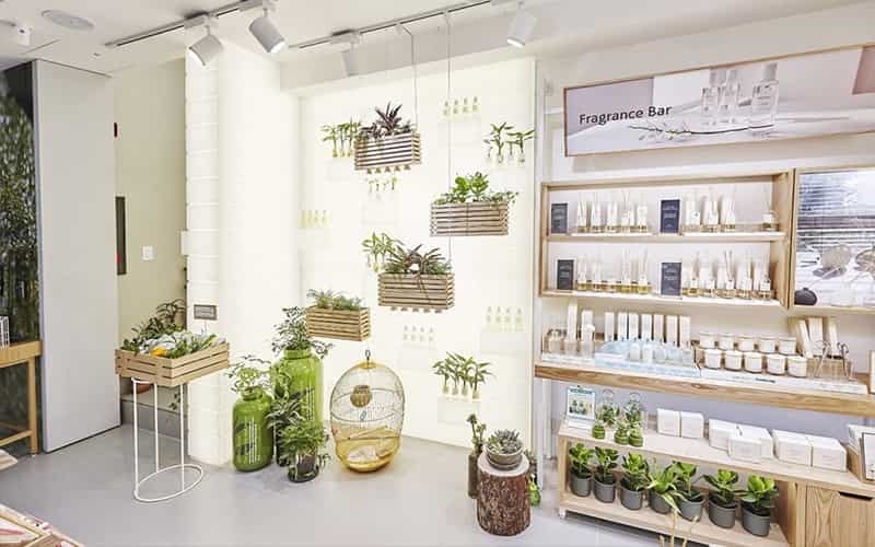 Bật mí cách lựa chọn màu nội thất trong thiết kế cửa hàng