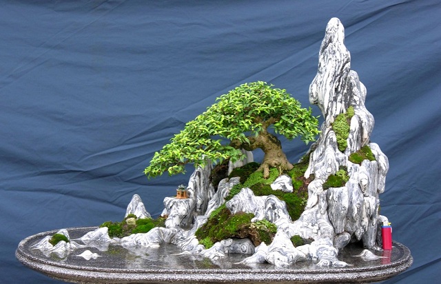 Cách làm hòn non bộ mini đúng chuẩn