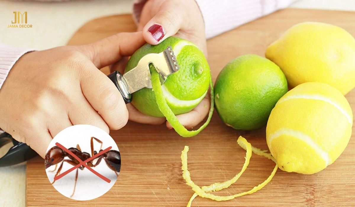 dùng vỏ cam, chanh bưởi làm cách diệt kiến trên giường ngủ