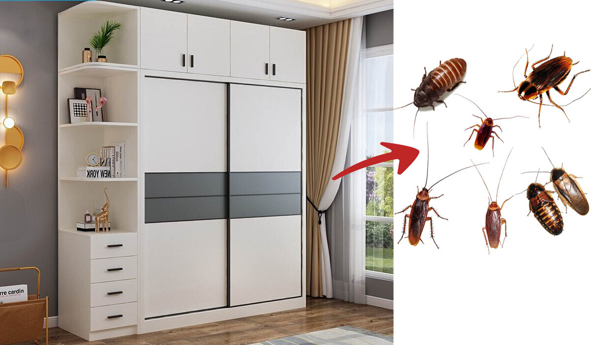 Hãy thường xuyên lau chùi để tủ quần áo luôn sạch sẽ, không bám bụi bẩn