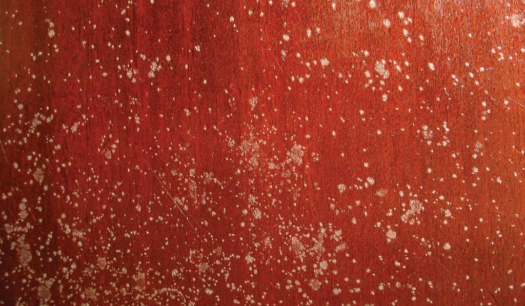 Go cong nghiep bi ngam nuoc 3