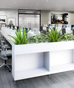 Văn phòng Công ty Ecom