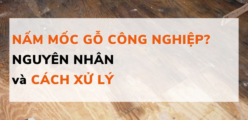 Gỗ công nghiệp bị mốc - 4 nguyên nhân và 6 cách xử lý