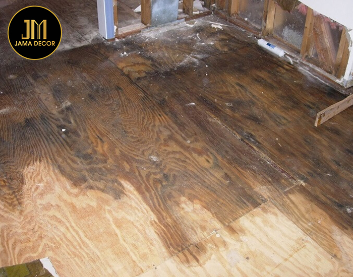 Gỗ công nghiệp bị mốc - 4 nguyên nhân và 6 cách xử lý 12 sàn gỗ công nghiệp bị mốc
