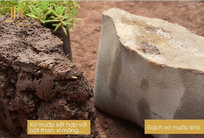 gạch xơ mướp thân thiện với môi trường