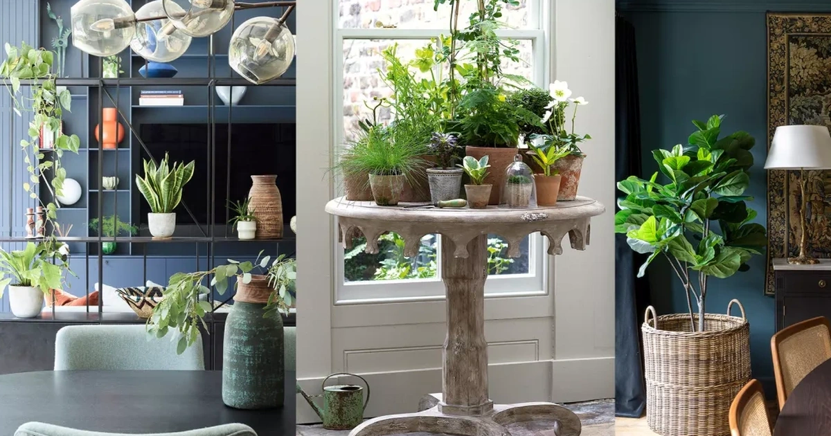 Trang trí phòng ngủ với cây xanh - Bí quyết tạo không gian nghỉ ngơi hoàn hảo từ chuyên gia Jama Home 9 Lên kế hoạch rõ ràng để không gian nghỉ ngơi xanh tươi như ý